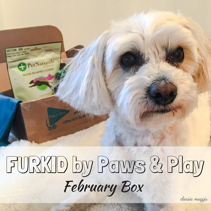 Furkid by Paws & Play February 2016 Box
