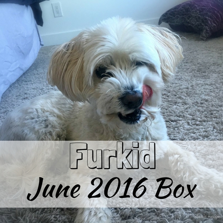 FURKID - July 2016 Box (2)